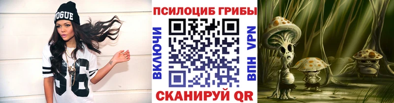 купить наркотик  Волхов  Галлюциногенные грибы MAGIC MUSHROOMS 