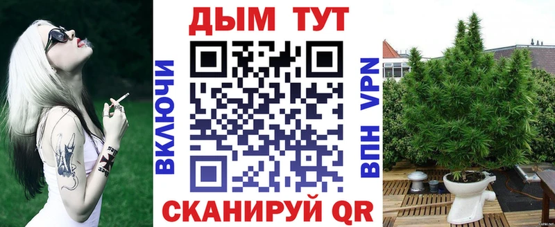 Каннабис сатива  продажа наркотиков  Волхов 